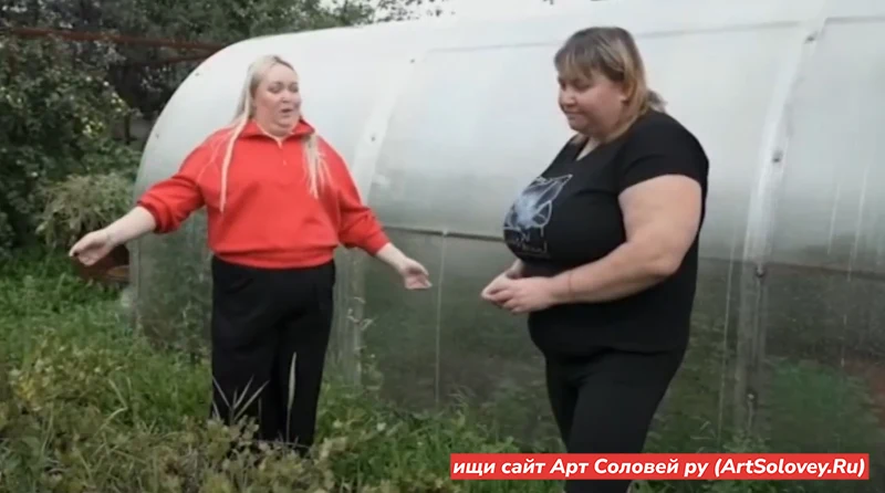 10 сентября Ждули 5 сезон 2 выпуск (10.09 2026)